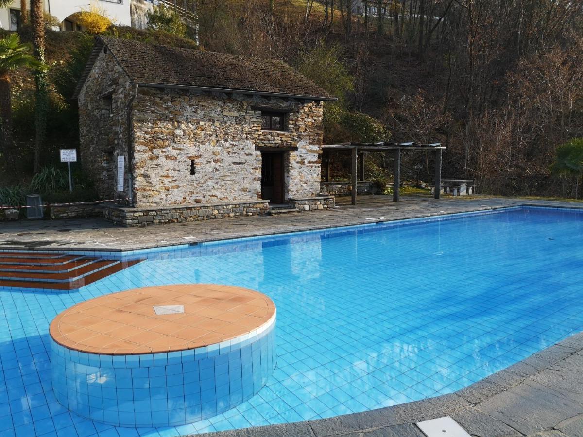 1 Zimmer Apartment Mit Seesicht Und Pool Gambarogno Exterior photo