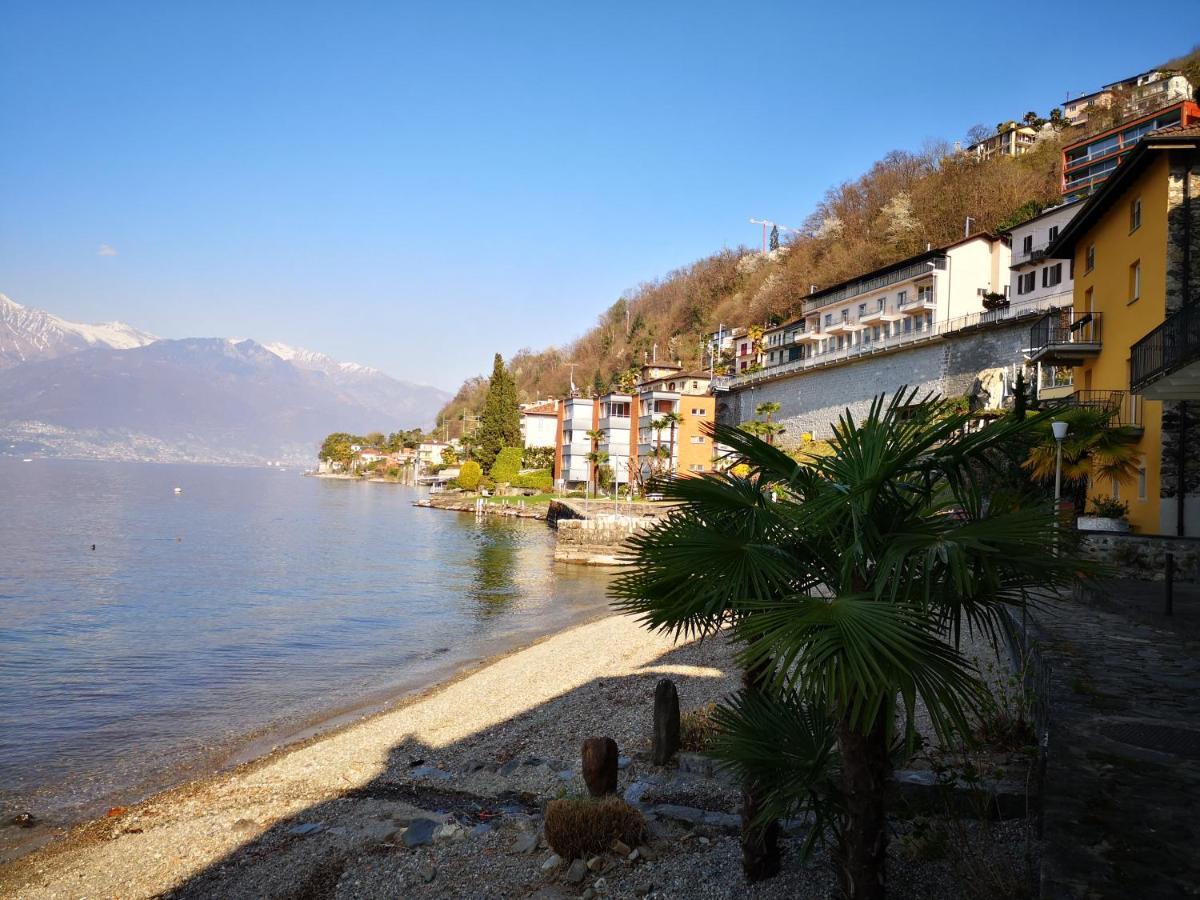1 Zimmer Apartment Mit Seesicht Und Pool Gambarogno Exterior photo