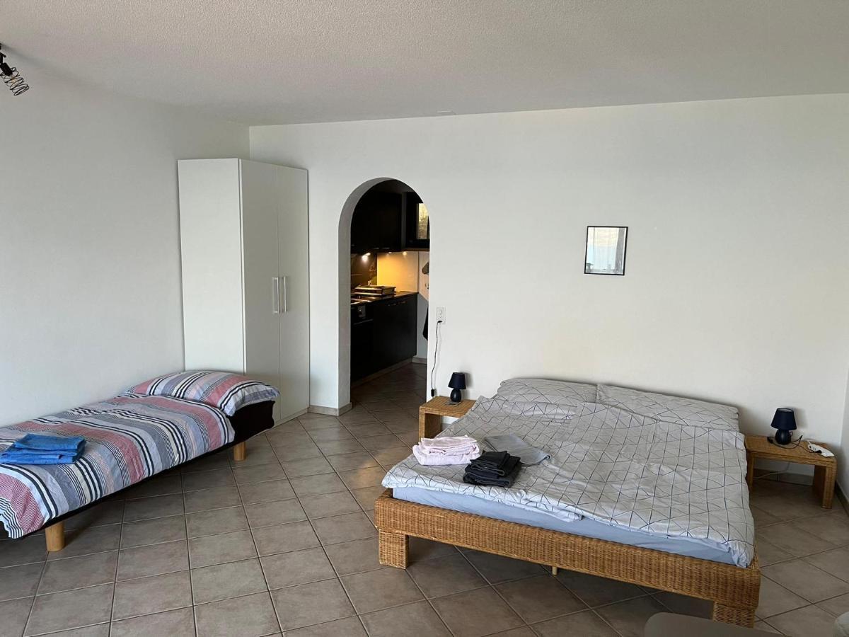 1 Zimmer Apartment Mit Seesicht Und Pool Gambarogno Exterior photo